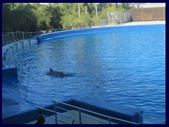 L'Oceanogràfic Oceanarium 115